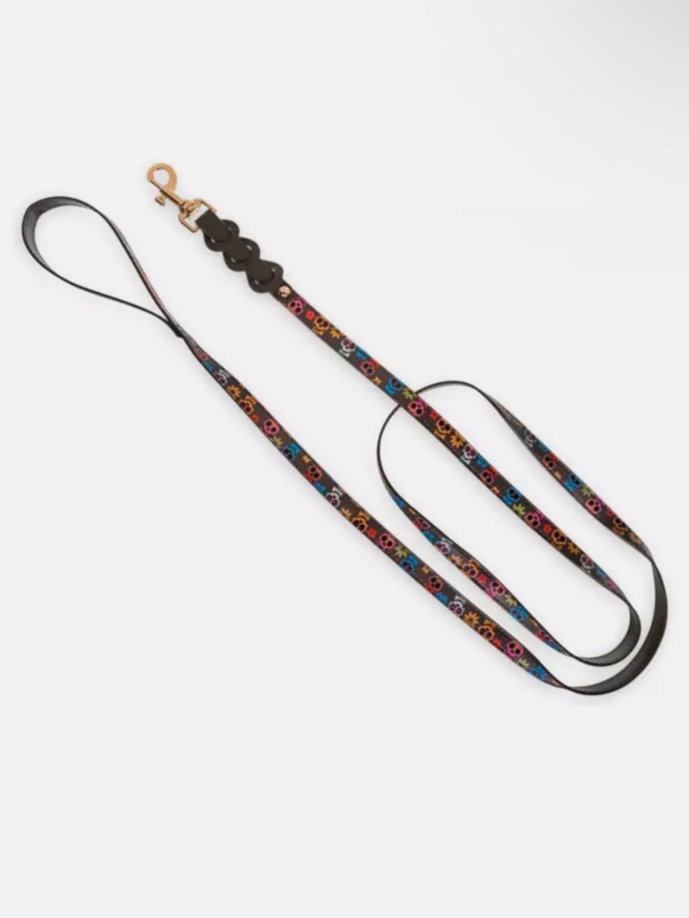 Coco Skull Print Leash